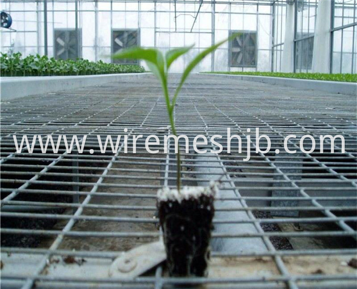 Greenhouse Seedling Bed Mesh